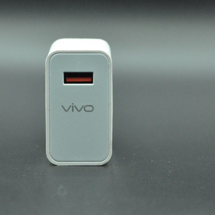 120W Vivo Adapter